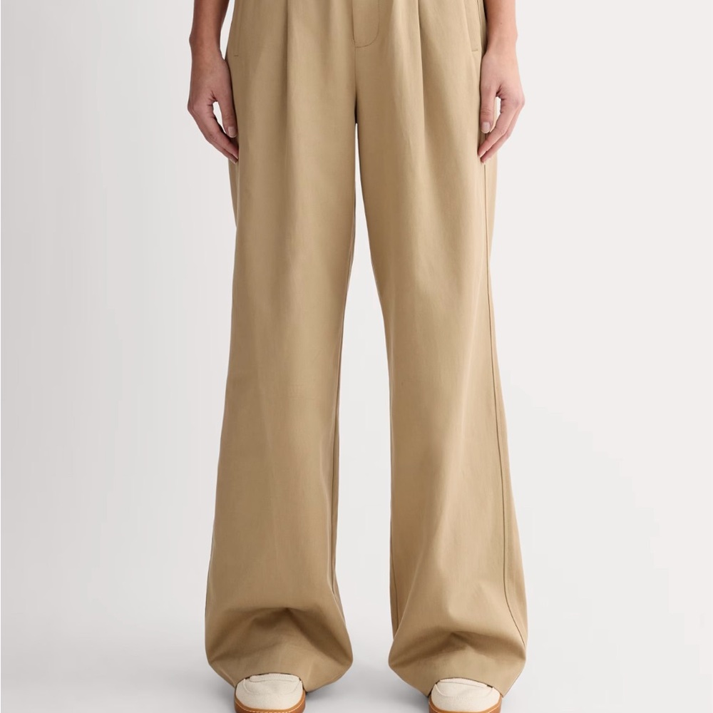 Everlane Draper Pleated Pant in Ash Brown